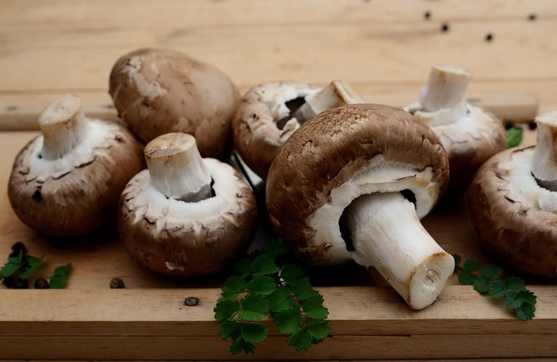 Enchanted Mushroom Risotto